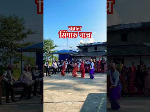 स्थानिय सिंगारु नाच #shortvideos #viralvideo