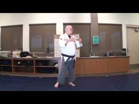 Budoshin Jujitsu: Summer Camp 2015 Pt6