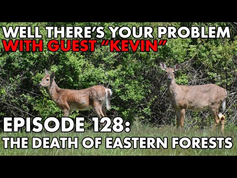 Well There's Your Problem | Episode 128: The Death of Eastern Forests