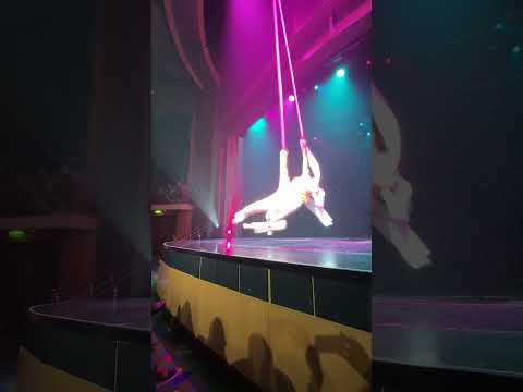 #shorts Royal Caribbean - Duo Quintessence - Aerialist & Acrobat Show