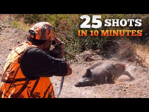 25 Shots in 10 Minutes - Ultimate Wild Boar Hunting Compilation #hunting #hog