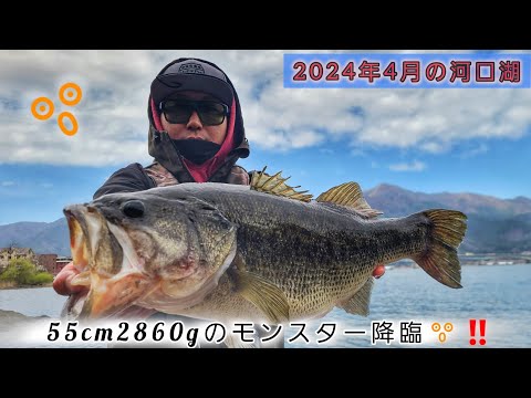 【河口湖】バマストで55cm2860g🎣ライブスコープシューティング👀