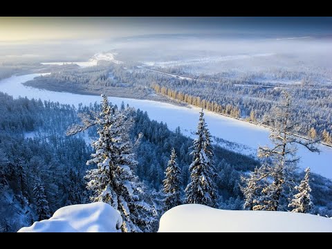 "Тайга" песня моего любимого автора и певицы Елены Ваенги. Кавер. Записано в #smule