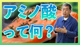 タンパク質とアミノ酸の違いと身体への影響について教授が徹底解説！