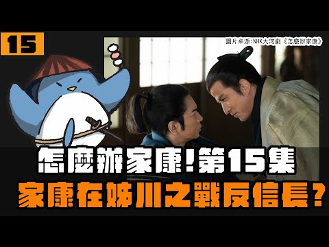 【怎麼辦家康】第15集・歷史解說 | 秀吉裝傷兵？家康打算跟淺井長政聯手？