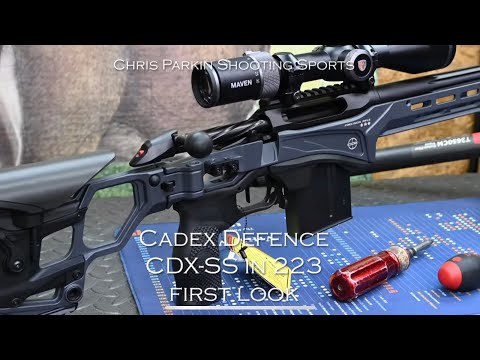 Cadex Defence CDX-SS in 223, first look and impressions