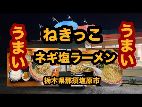 【栃木グルメ】ねきっこ西那須野店（那須塩原市）人気ラーメン店でネギ塩ラーメン＆ニンニク餃子・半ライスセット