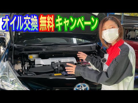 【オイル交換無料キャンペーン】ぼっつの挑戦×ナカタニ自動車コラボ１周年記念！