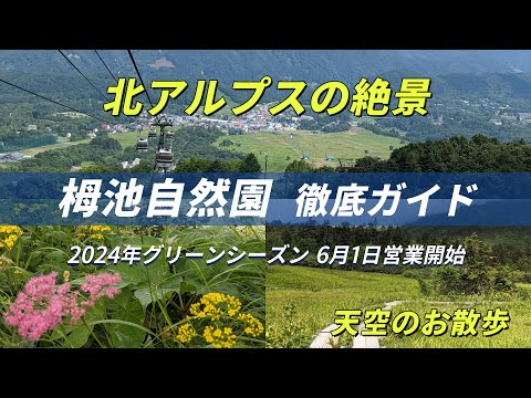 北アルプス絶景展望  栂池自然園 徹底ガイド天空のお散歩！ 北アルプスの絶景を眺めながら、大自然のパワーで心も体もリフレッシュ！