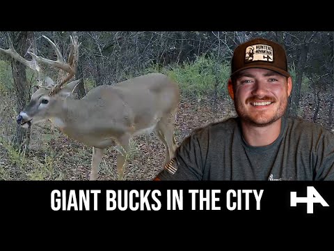 Urban Hunting Giant Bucks in Oklahoma | Hunters Advantage Podcast #203