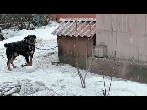 УДИВИТЕЛЬНО / ИЗМЕНЕНИЯ ПОГОДЫ ЗА ПОЛ ЧАСА/ ФЕВРАЛЬ.