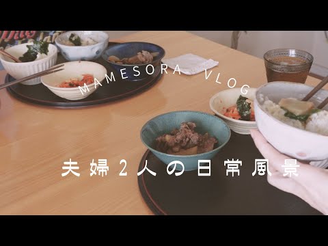 【夫婦2人の日常風景】夏が苦手／コップの茶渋／釣ったイカをもらった日／夏の献立