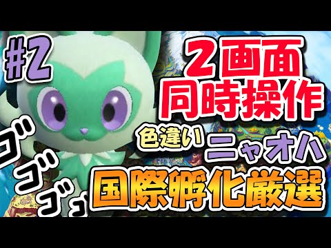 【ポケモンSV】２画面同時操作、ニャオハ色違い厳選#2