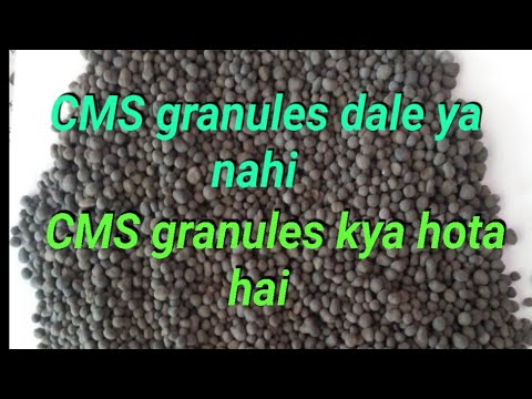 cms kharide ya nahi | cms kya kam karta hai |cms granules gypsum granules kya hota hai