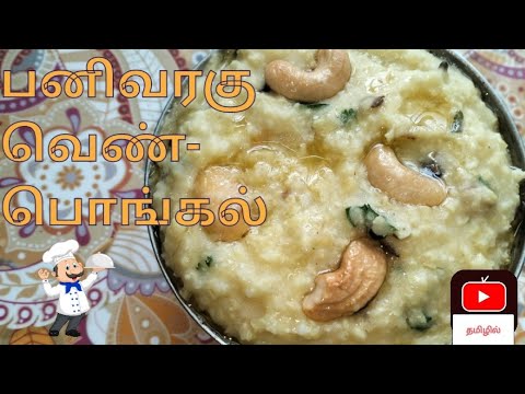 பனிவரகு  வெண்பொங்கல் | ஊட்டச்சத்து மிகுந்த உணவு | Pani varagu Pongal #venpongal #pongal #prosomillet