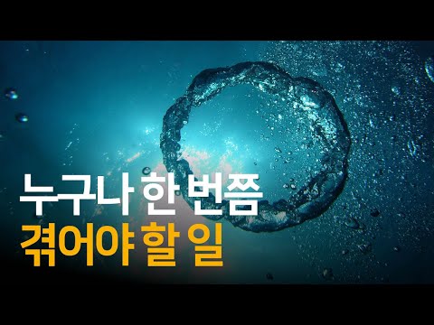 다시 숨 쉴 수 있는 곳으로 떠오르기