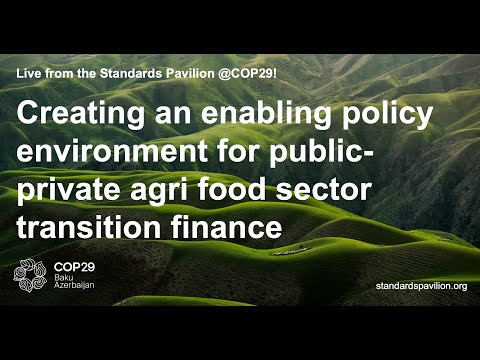 Creating an enabling policy environment for public-private agri food sector transition finance