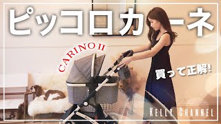 🐶👩新車最高〜♡！愛犬の二台目ペットカート｜ピッコロカーネCARINO2【キャバリア】