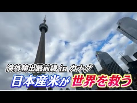 海外輸出最前線 inカナダ　日本産米が世界を救う