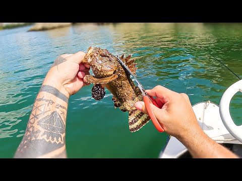 Pescamos e Comemos o mais VENEN0S0 DO MUNDO - Pesca de Pedalinho