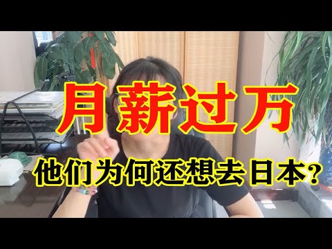 明明在国内很滋润，为什么还要去日本工作？