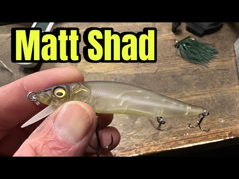 When The “Matt Shad” Color Catches More Bass Than ANY Other Color…