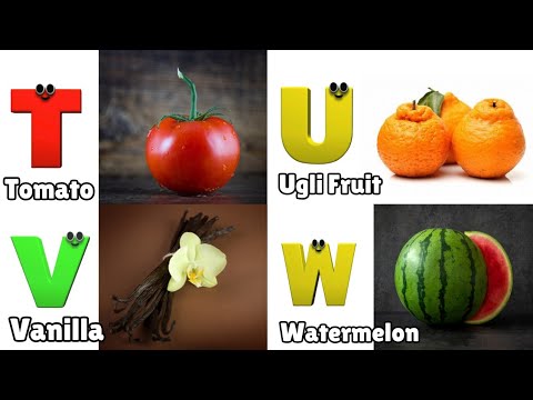 Fruit ABC Song for Children | Phonics for Kids | Learn English Alphabet Letters