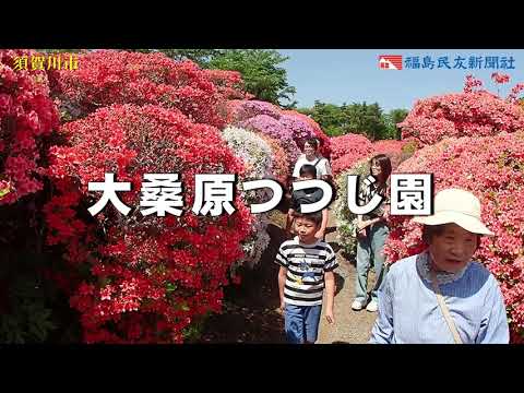 大桑原つつじ園