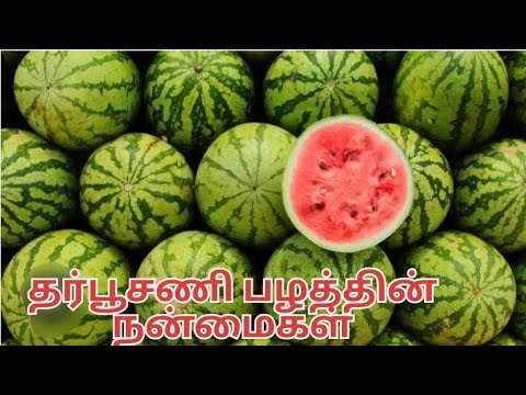 தர்பூசணி பழம் சாப்பிடுவதால் ஏற்படும் நன்மைகள் || Benifits of watermelon fruit 🍑🍓