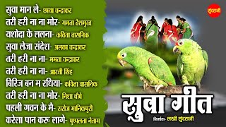 Suva Geet - सुवा गीत - Top -10 - Audio Jukebox - Cg Song - New Song