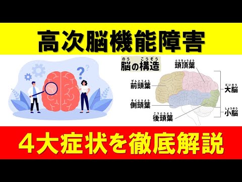 高次脳機能障害の4大症状を徹底解説！あなたも知っておくべき重要ポイント