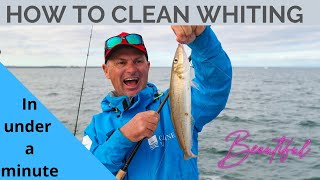 How to clean a whiting for perfect boneless fillets