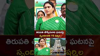 తిరుపతి తొక్కిసలాట ఘటనపై స్పందించిన YS షర్మిల | #YSSharmila | #YTShorts | AP News | Mango News