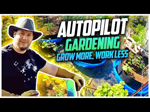 Crazy Autopilot Garden Grows Lots Of Food With Little To No Effort !??!