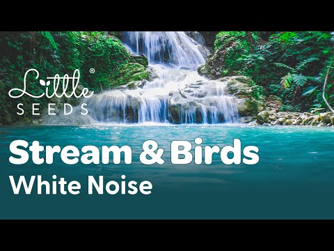 Baby White Noise Calm Background Noise for Newborns