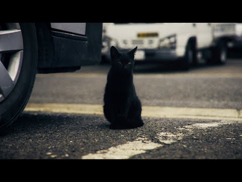 ことでん沖松島駅周辺 | 香川県 高松市 | Cinematic Video | SONY FX3