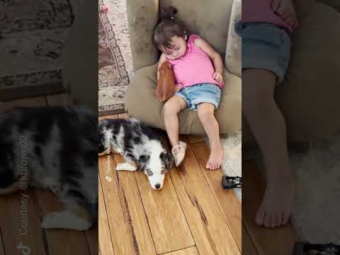 Pet pig and dog join napping toddler for a cozy cuddle | Humankind #shorts #goodnews