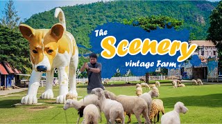 เดอะซีนเนอรี่ วินเทจ ฟาร์ม สวนผึ้ง (The Scenery Vintage Farm)  สถานที่ยอดฮิตโด่งดังในสวนผึ้ง