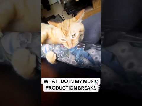 gotta give some love to my orange, hairy son#love #funny #musician #cat #catdad #meme #tattoo #inked