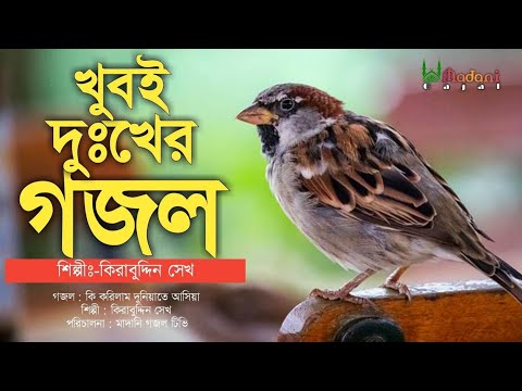 খুবই দুঃখের মরমী গজল | চোখে পানি চলে আসবে | কি করিলাম দুনিয়াতে আসিয়া | New Heart Touching Gojol