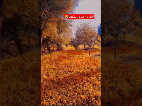 Surah Yasin (Yaseen) | By Sheikh Abdur-Rahman As-Sudais | Full With Arabic Text (HD) | 36سورۃ یس