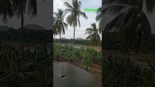 #karnataka #hampidiaries #karnatakatourism #hampitourism #india #incredibleindia #travelkarnataka