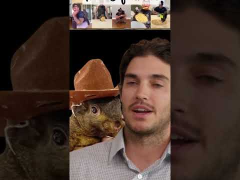 $Pnut Squirrels Meme Token