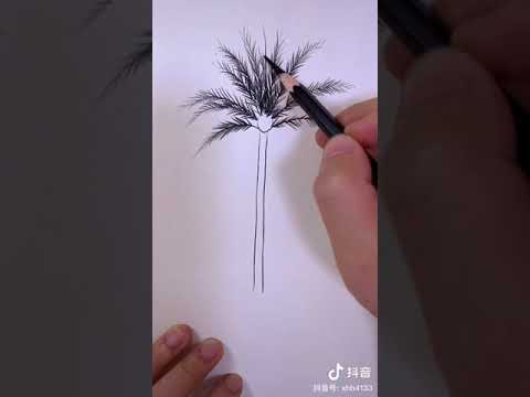 How draw a coconut tree with a pencil