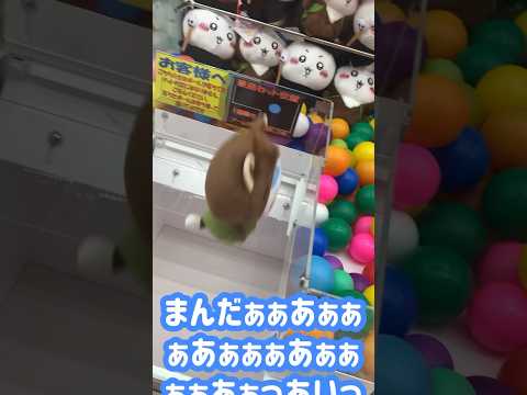 ちいかわぬいぐるみこれで取れました【ハチワレ】 #ufoキャッチャー #クレーンゲーム #ゲーセン