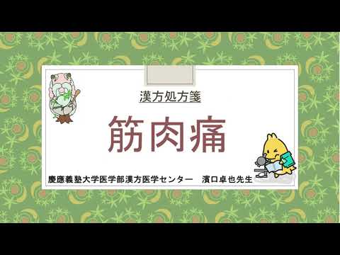 はじめての漢方e-learning 「症状から選ぶ漢方薬」【第26章】 筋肉痛