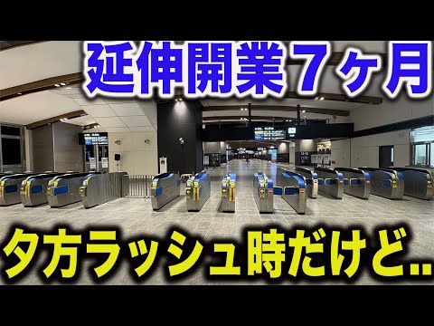 【夕方ラッシュ撮影】延伸開業７ヶ月を迎える北陸新幹線の敦賀〜富山の状況を見てきた