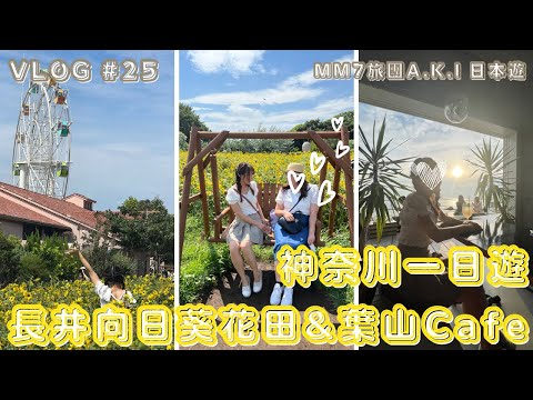 VLOG #25 神奈川縣一日遊 | 長井海之手公園  向日葵花田 | 葉山 超chill café欣賞日落 | Under The  Palmo #神奈川旅行