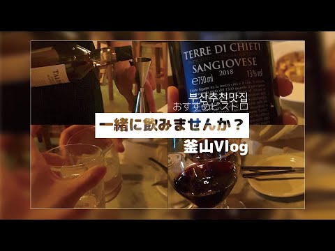 【釜山VLOG】釜山で一緒に飲みませんか /부산에서 같이 마시자!