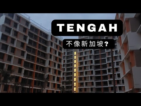 A new town unlike Singapore? | Discovering Tengah New Town #tengah 🏠